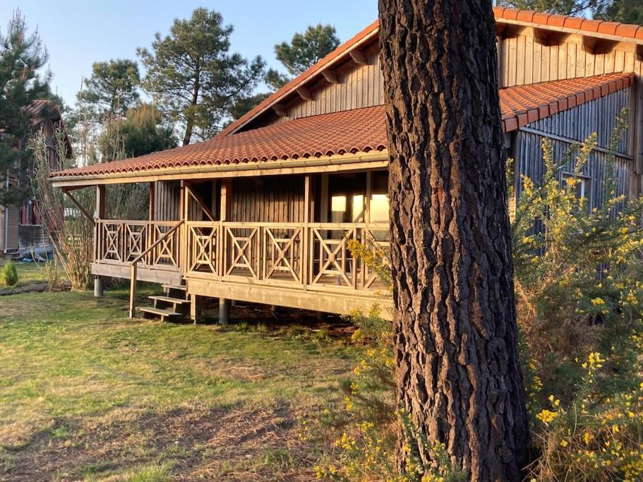 Le Gite De L'Aerogrange Biscarrosse Exterior photo