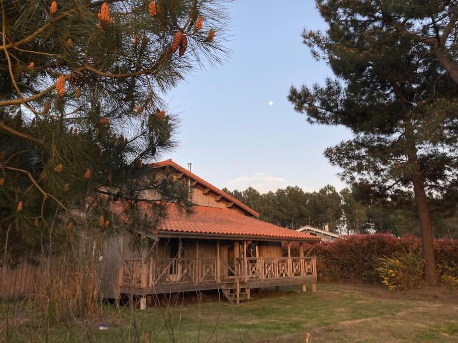 Le Gite De L'Aerogrange Biscarrosse Exterior photo